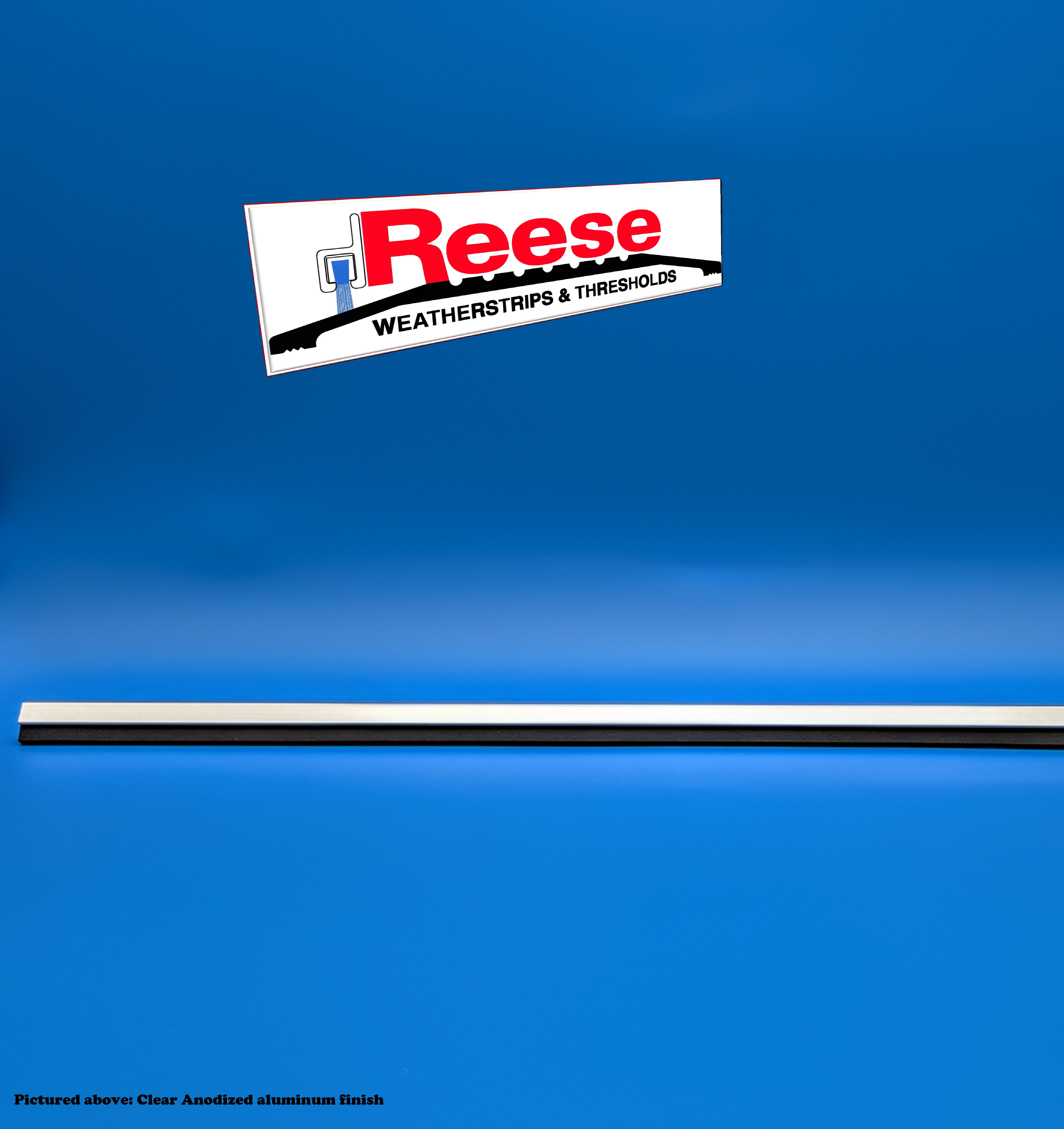 Reese - DS69