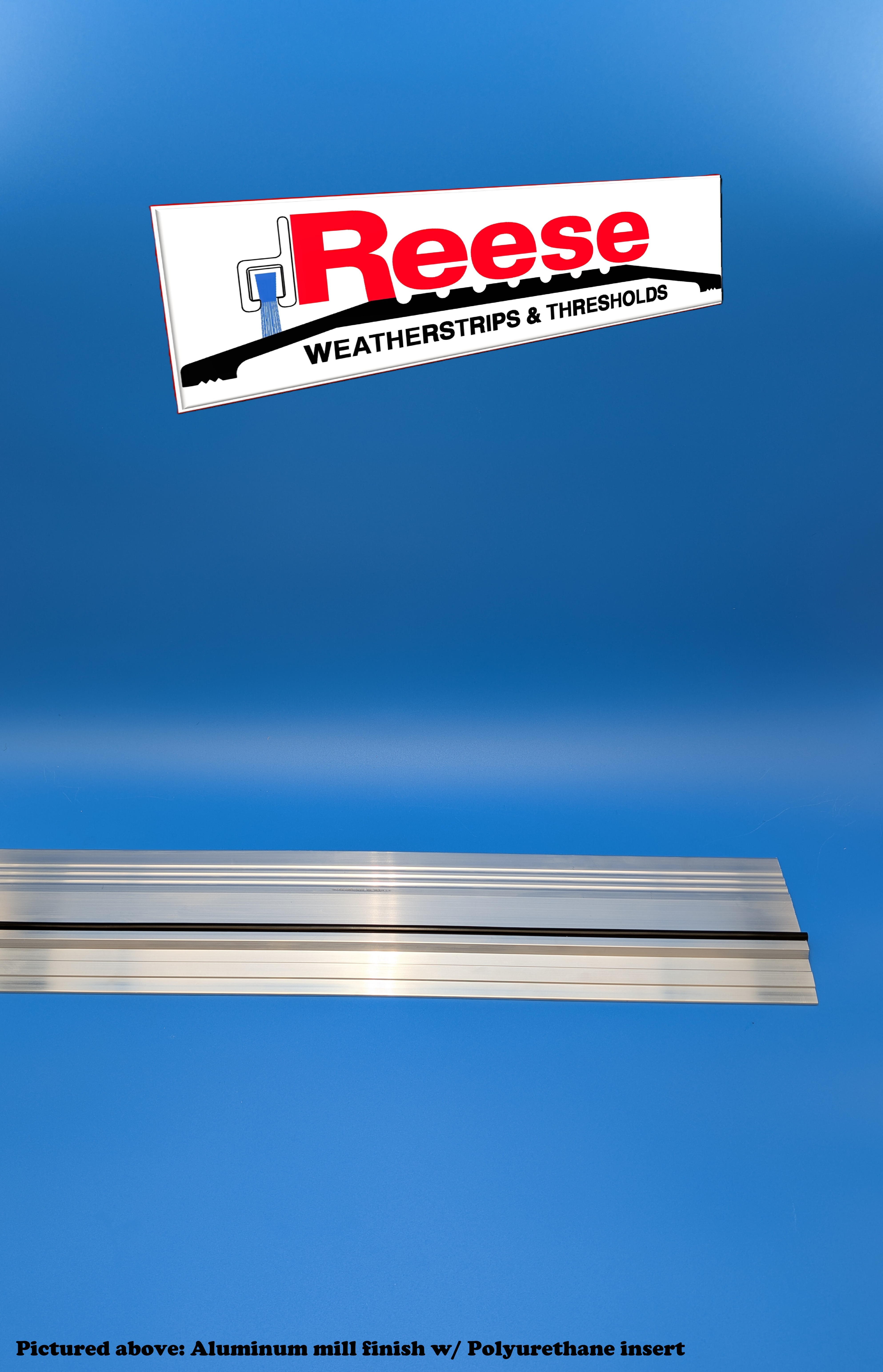 Reese - S483
