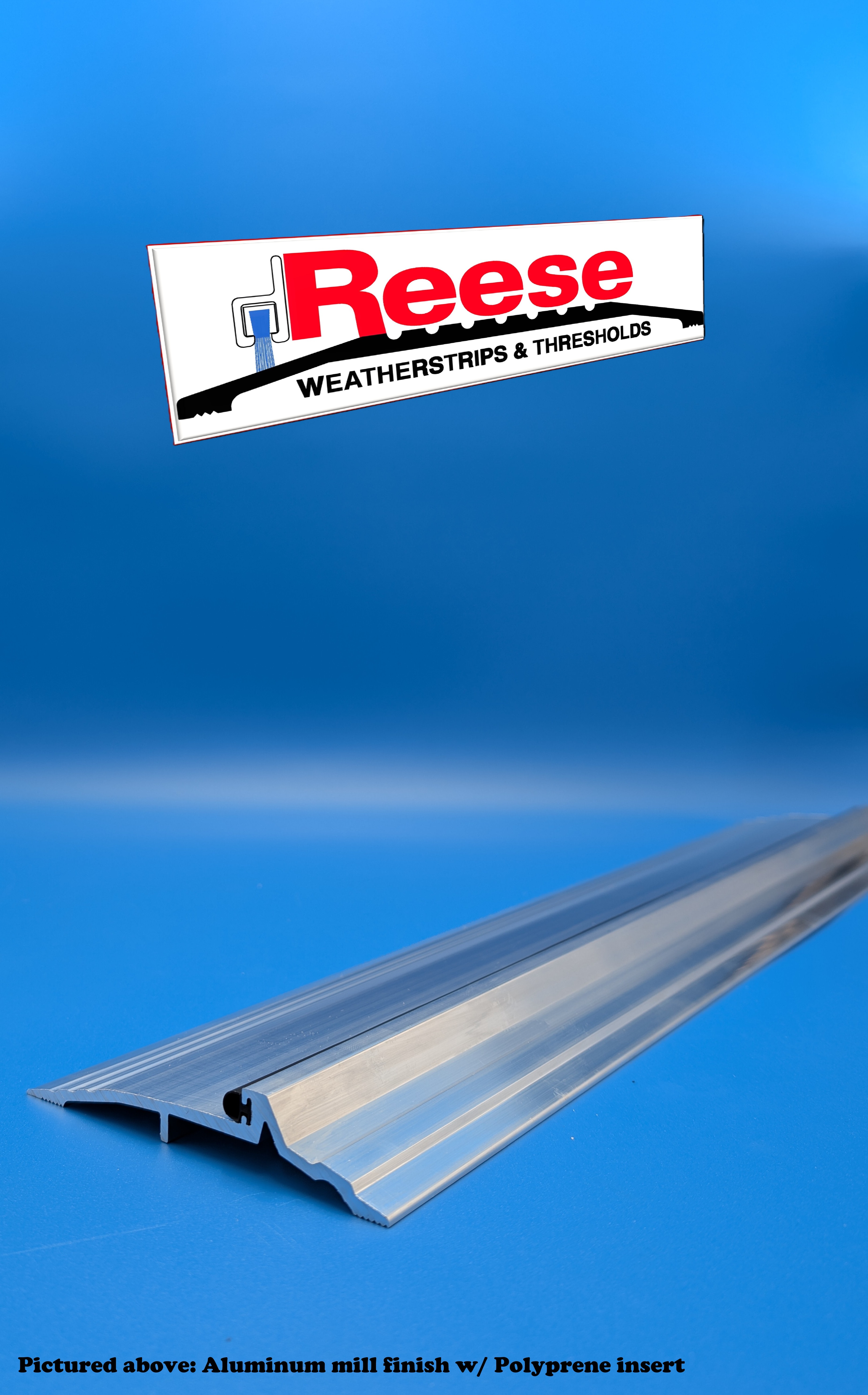 Reese - S487